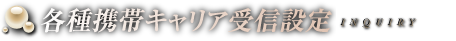 各種携帯キャリア受信設定